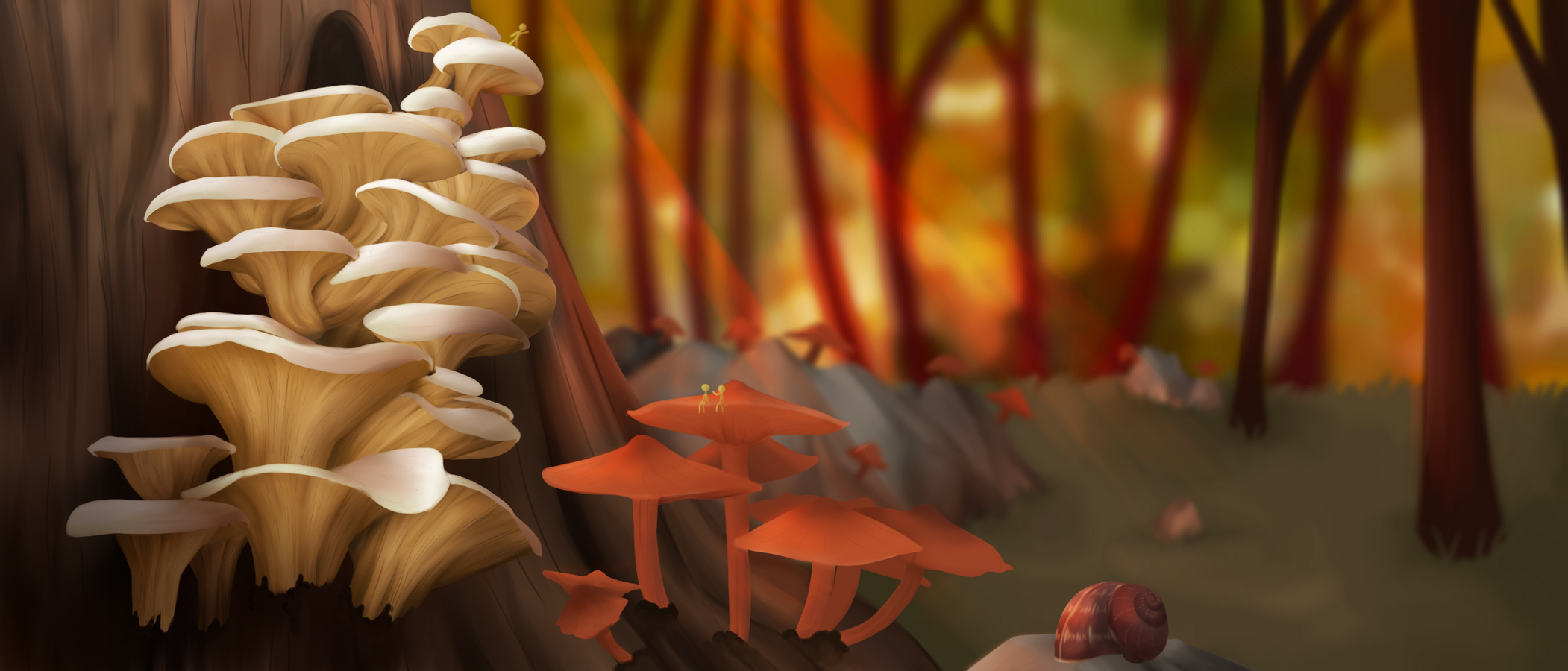 Mushrooms In The Forest [Sunset]