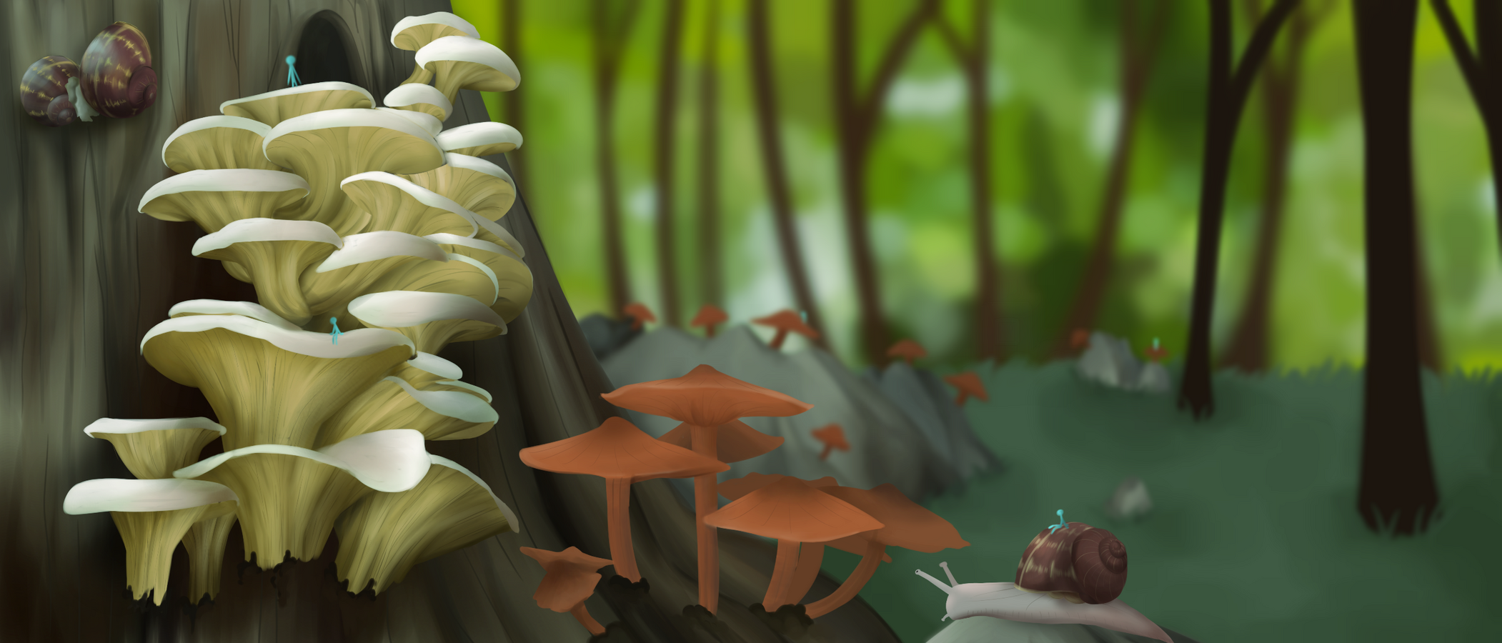 Mushrooms In The Forest [Daylight]