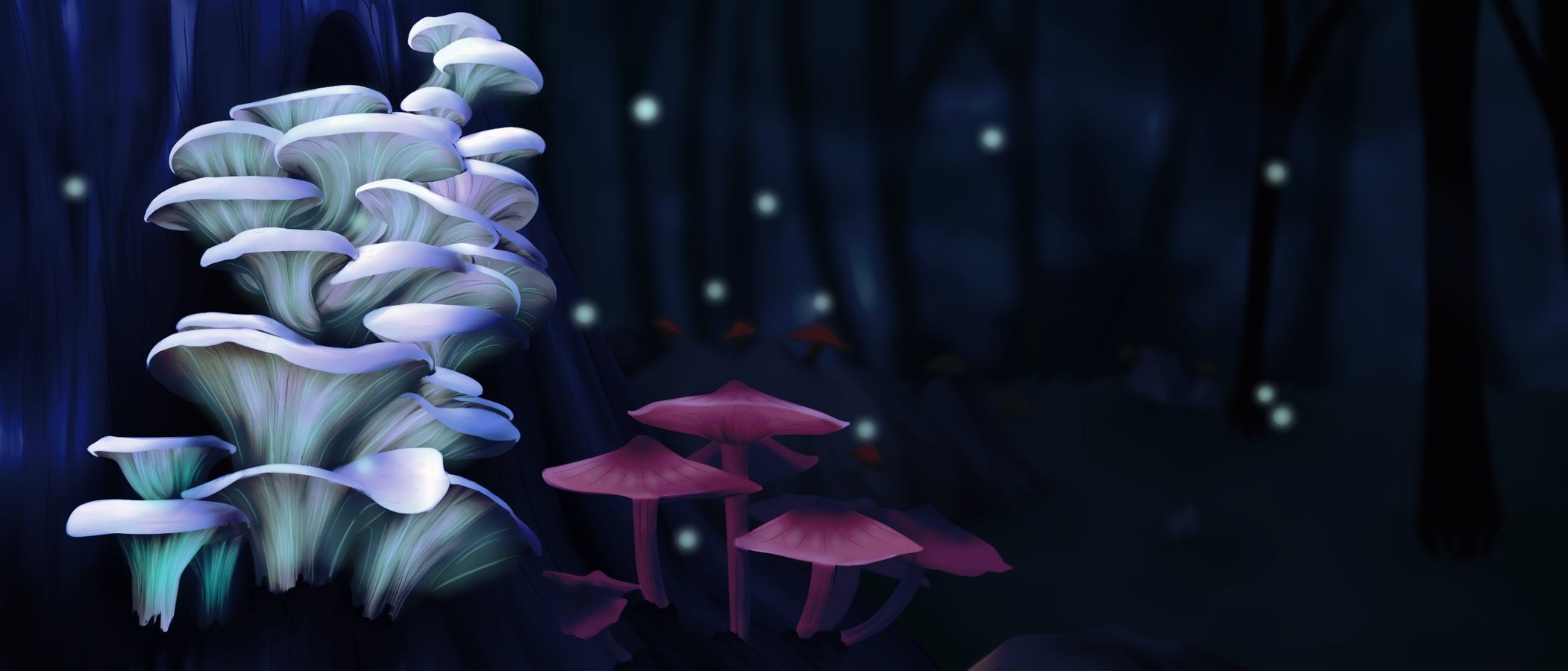 Mushrooms In The Forest [Nighttime]